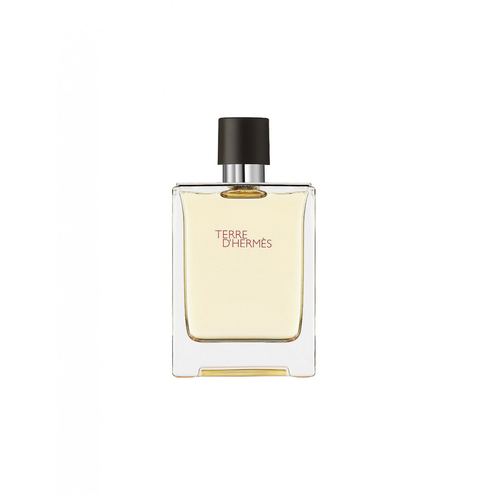 Hermes Ανδρικό Άρωμα Terre D' Hermes Eau de Toilette 100ml