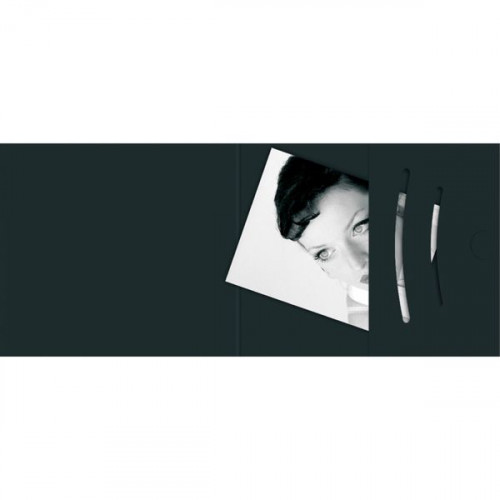 1x100 Daiber Folders Passport Photograph, black 70x100 mm 