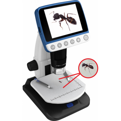 Reflecta DigiMicroscope LCD Professional 500x