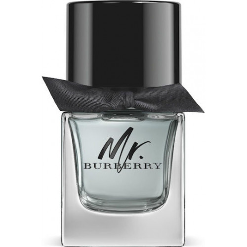 Burberry Mr. Burberry Eau de Toilette 50ml