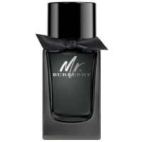 Burberry Mr Burberry Eau de Parfum 100ml