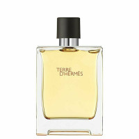 Hermes Ανδρικό Άρωμα Terre D Hermes Pure Parfum 200ml