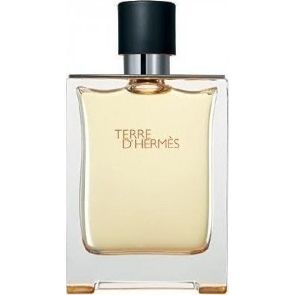 Hermes Ανδρικό Άρωμα Terre D Hermes Eau de Toilette 100ml