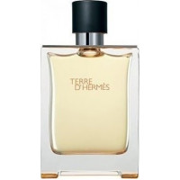 Hermes Ανδρικό Άρωμα Terre D Hermes Eau de Toilette 100ml