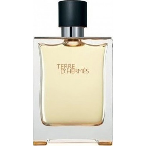 Hermes Ανδρικό Άρωμα Terre D Hermes Eau de Toilette 100ml