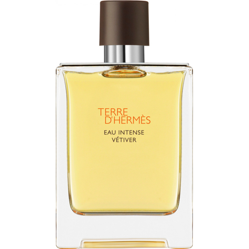 Hermes Ανδρικό Άρωμα Terre D hermes Eau Intense Vétiver Eau de Parfum 100ml