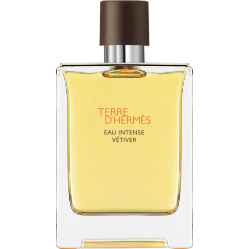 Hermes Ανδρικό Άρωμα Terre D hermes Eau Intense Vétiver Eau de Parfum 100ml