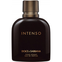 Dolce & Gabbana Ανδρικό Άρωμα Pour Homme Intenso Eau de Parfum 125ml