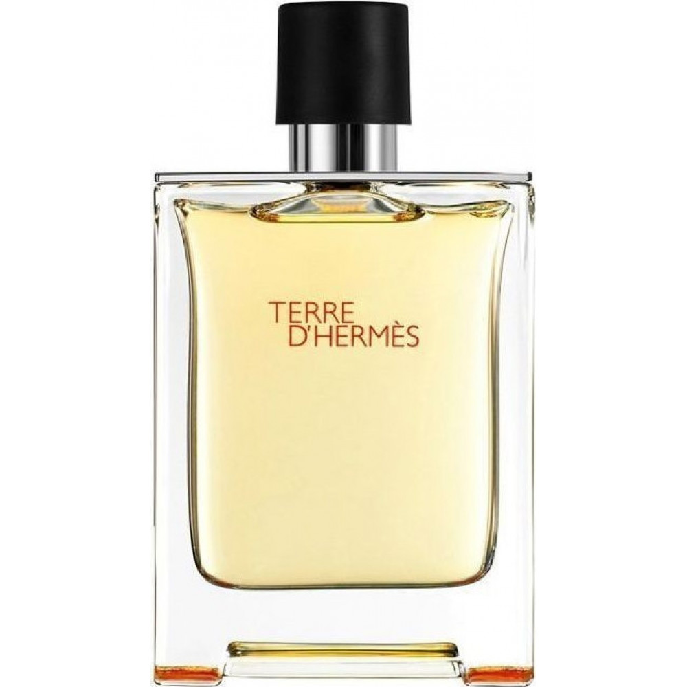 Hermes Ανδρικό Άρωμα Terre DHermes Eau de Toilette 200ml