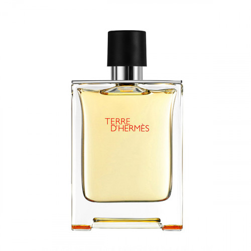 Hermes Terre D' Hermes Eau de Toilette 50ml
