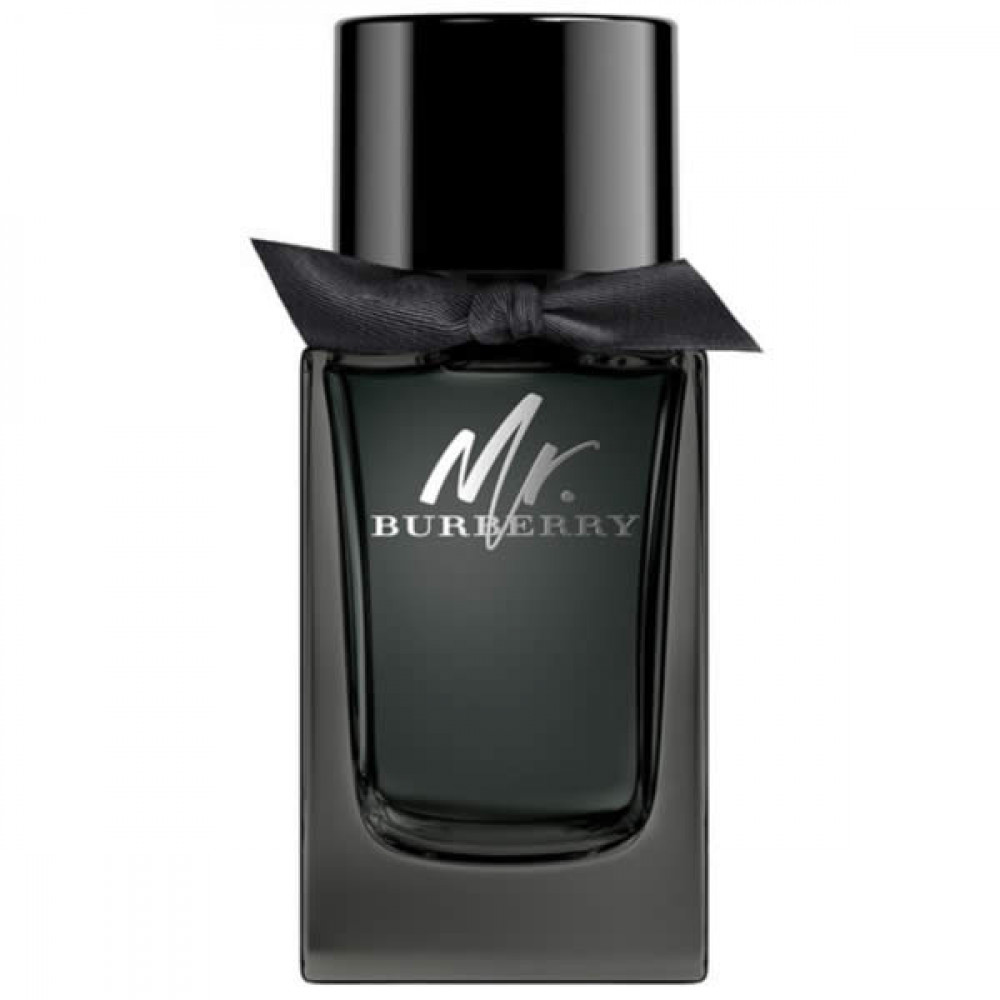Burberry Ανδρικό Άρωμα Mr Burberry Eau de Parfum 150ml Εκθεσιακό
