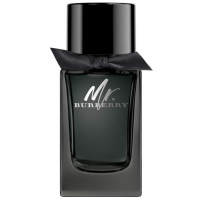 Burberry Ανδρικό Άρωμα Mr Burberry Eau de Parfum 150ml