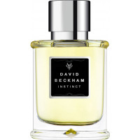 David Beckham Ανδρικό Άρωμα Instinct EDT 75ml