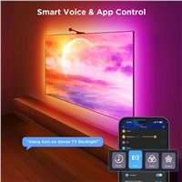 Govee Netflix Envisual TV Backlight 55-65 Zoll