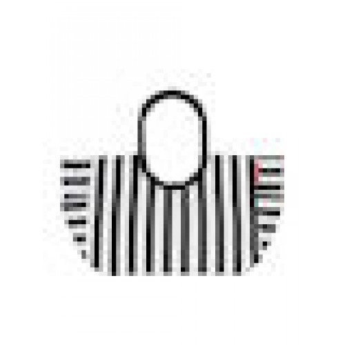 Reisenthel Loopshopper L summerstripes black