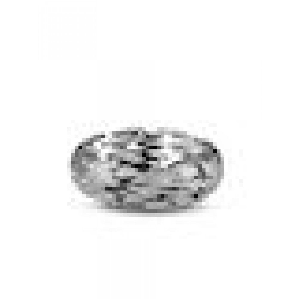 Alessi Barknest Schale Silver BM02