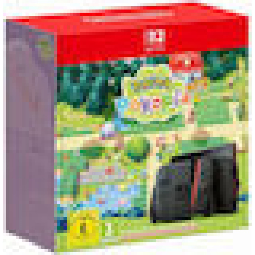 Nintendo Switch 2 + Pokémon Pokopia-Set