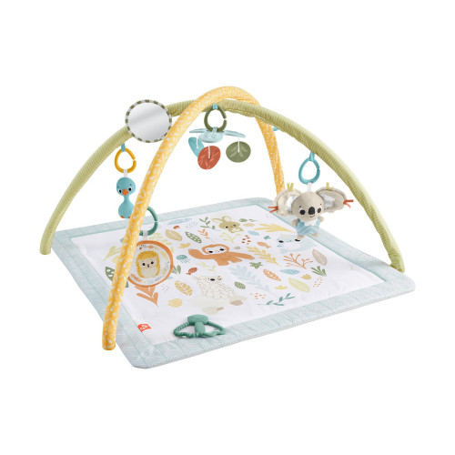 Fisher-Price: Γυμναστήρια - Οι Πρώτες Του Αισθήσεις (JMN74)