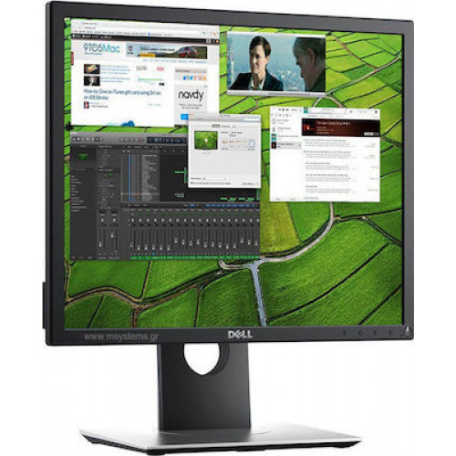 Dell P1917S