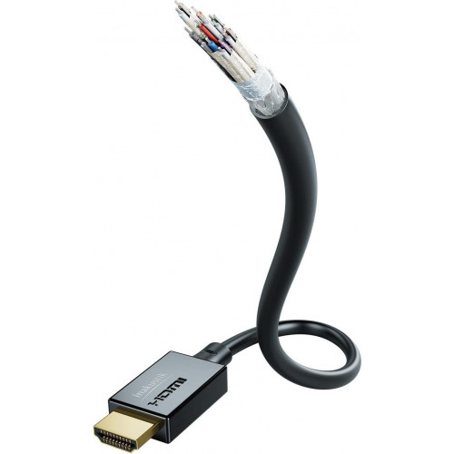 Inakustik HDMI 2.1 Cable HDMI male - HDMI male 1m Χρυσό (00324610)