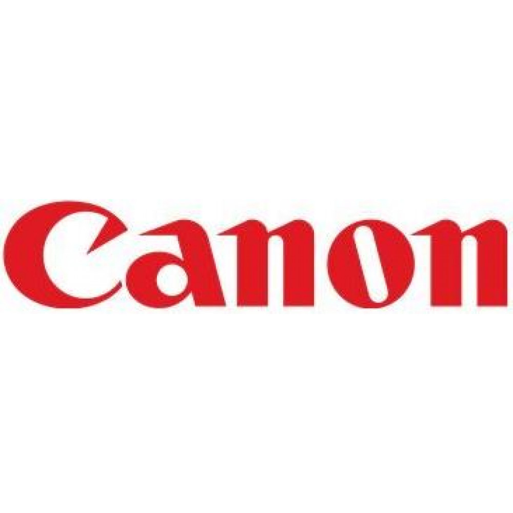 Canon CLI-531 GY - 1 piece(e) - Einzelpackung (6122C001)