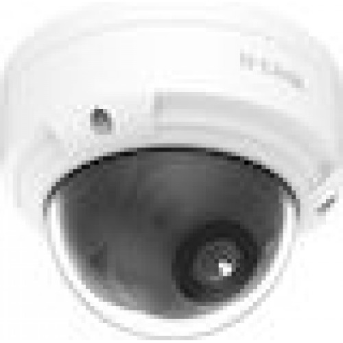 BCD-P01 Outdoor Dome Kamera 2 Megapixel H.265