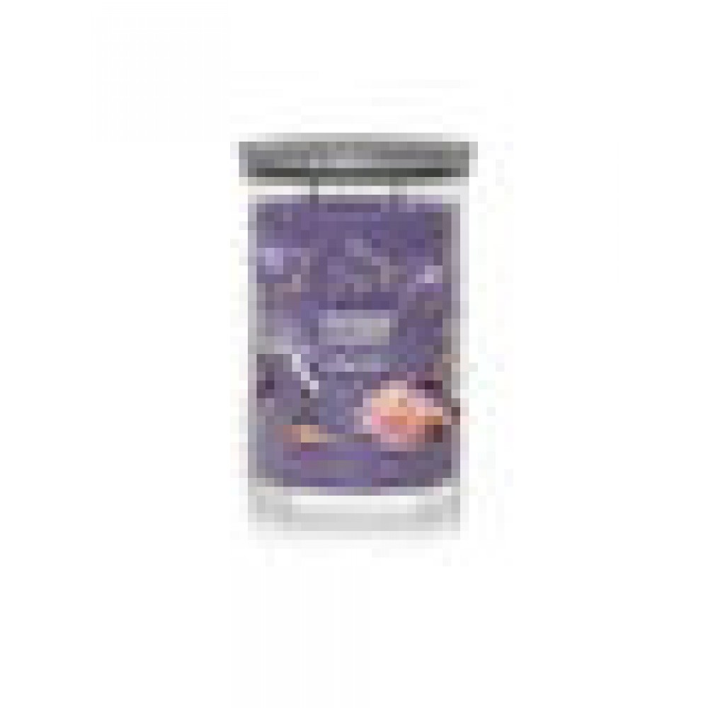 Yankee Candle Tumbler Summit Stargazing 122 g
