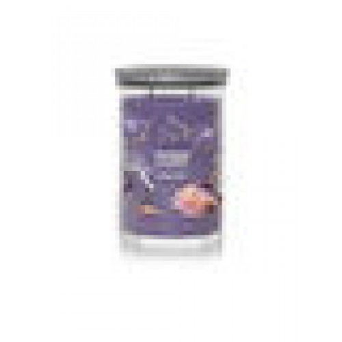 Yankee Candle Tumbler Summit Stargazing 122 g