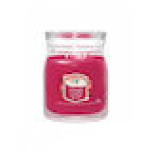 Yankee Candle Santa On Skis 368 g