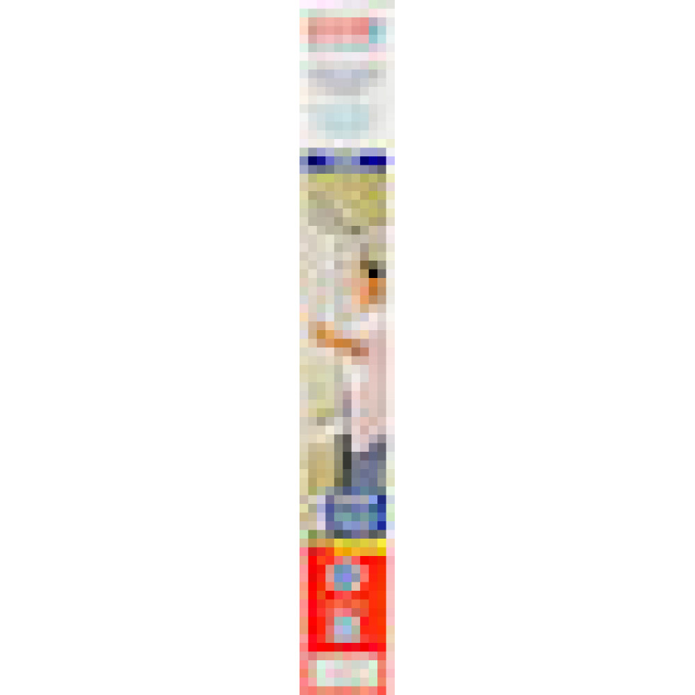 Tesa Insect Stop Clip On 1,0x1,2m anthrazit 55360