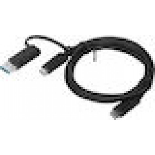 Lenovo | 1m, Hybrid USB-C with USB-A Cable | Black