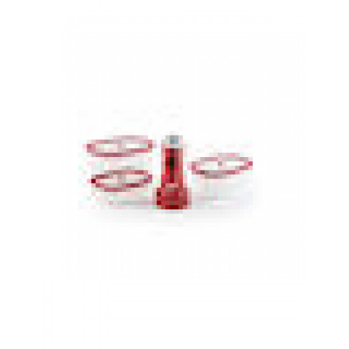 Berkel Kit all in one Icon Mini Vakuumpumpe rot